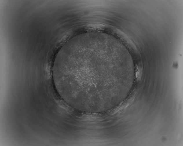 X0000102480819200808221705