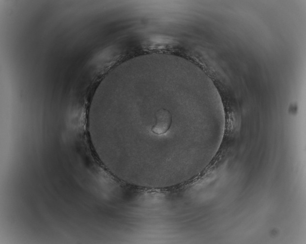 X0000102480820200808221705