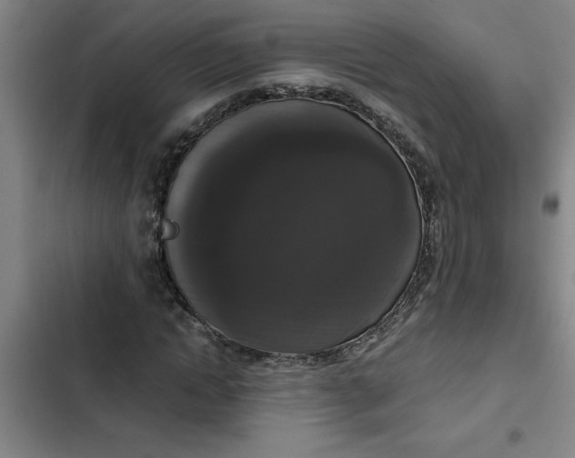 X0000102480822200808221705