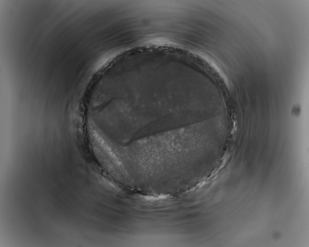 X0000102480823200808221705