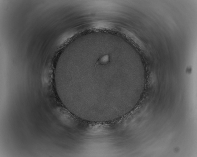 X0000102480824200808221705