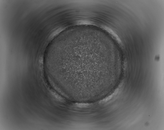 X0000102480825200808221705