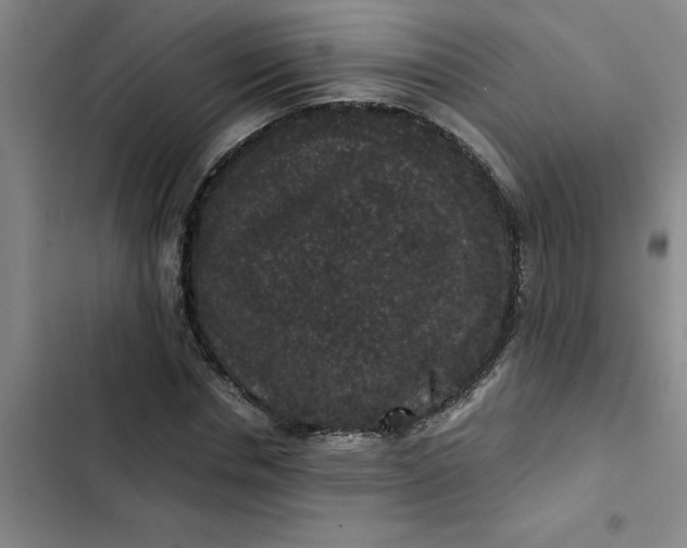 X0000102480826200808221705