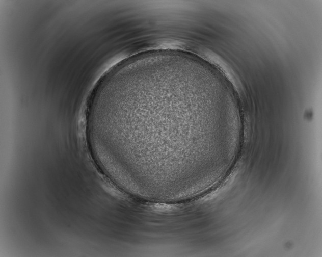 X0000102480827200808221705