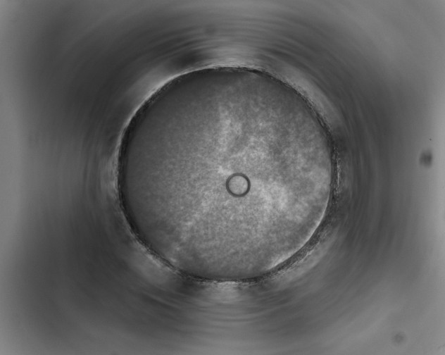 X0000102480828200808221705