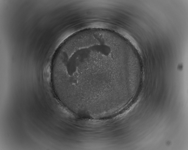 X0000102480829200808221705