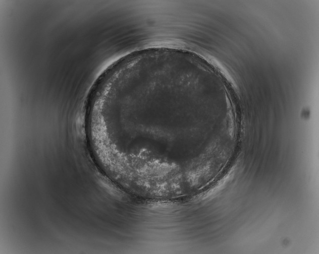 X0000102480830200808221705