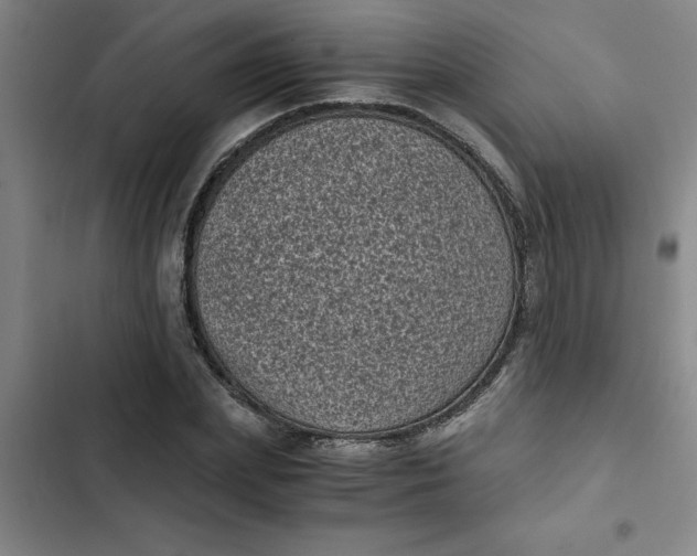 X0000102480831200808221705