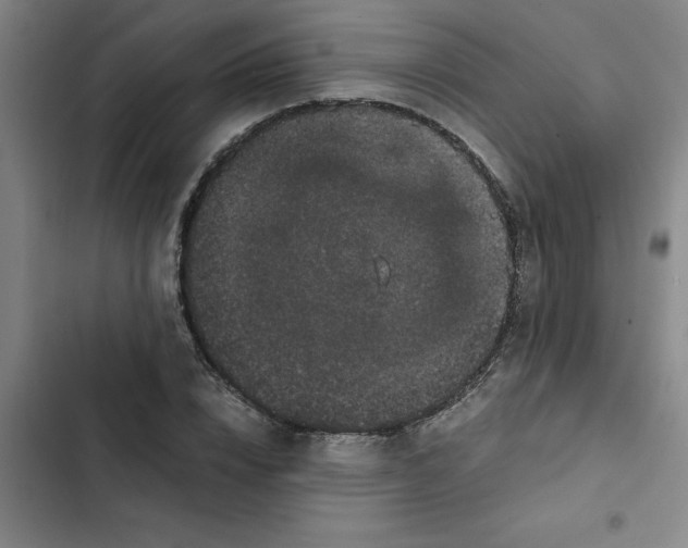 X0000102480832200808221705