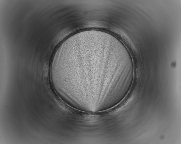 X0000102480833200808221705