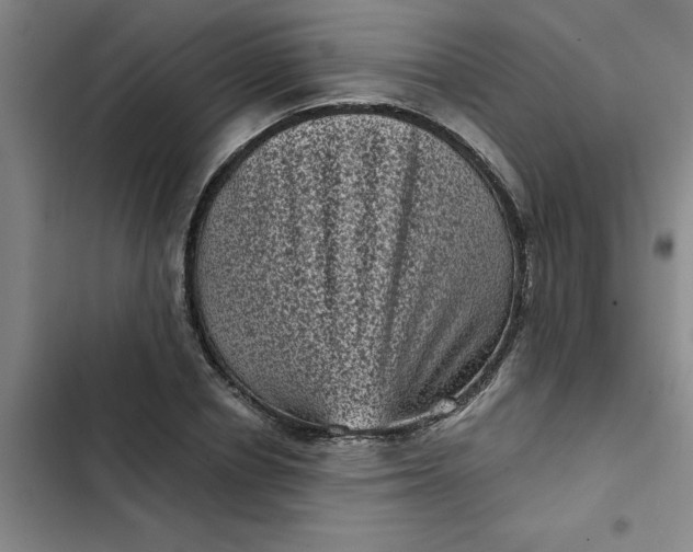 X0000102480834200808221705