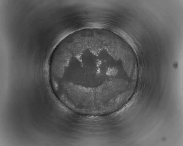 X0000102480835200808221705