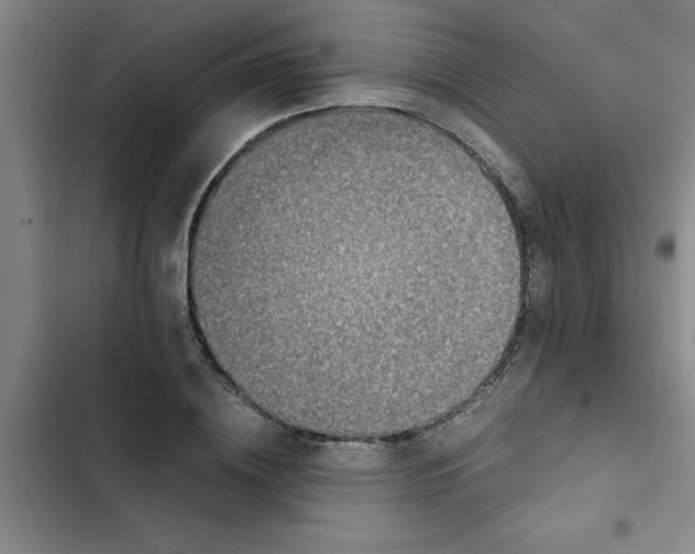 X0000102480836200808221705