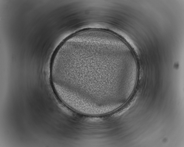 X0000102480837200808221705