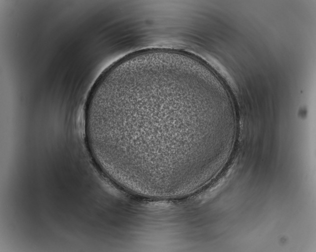 X0000102480838200808221705