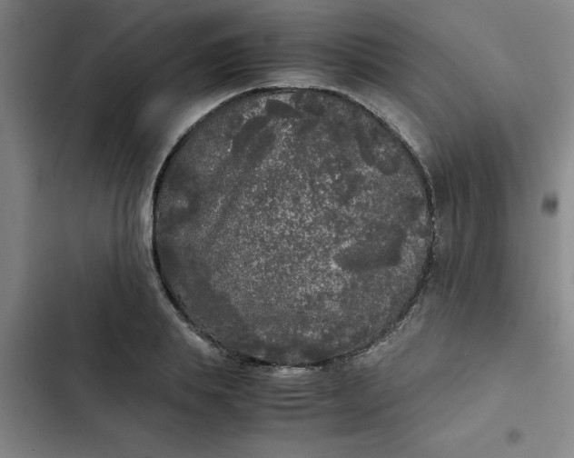 X0000102480839200808221705