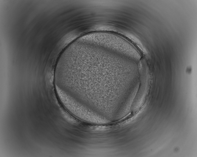 X0000102480841200808221705