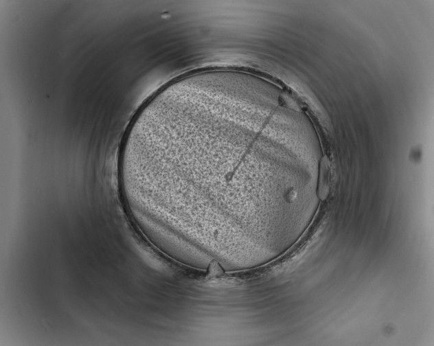 X0000102480842200808221705