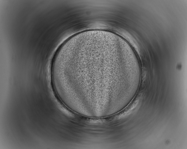 X0000102480843200808221705