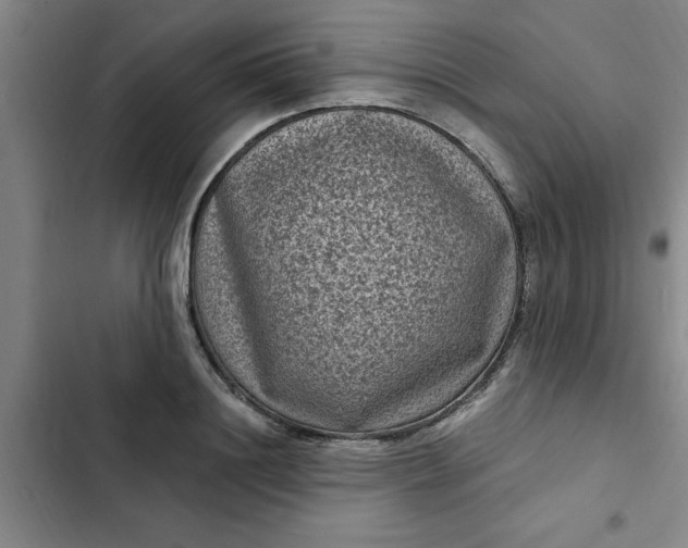 X0000102480844200808221705