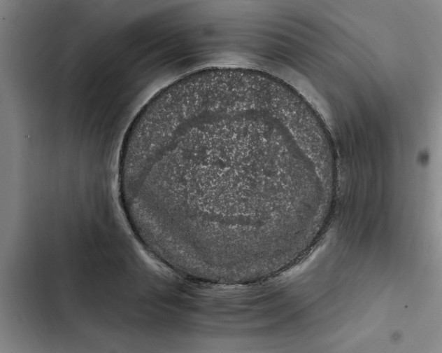 X0000102480845200808221705