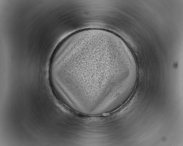 X0000102480846200808221705