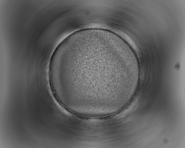 X0000102480847200808221705