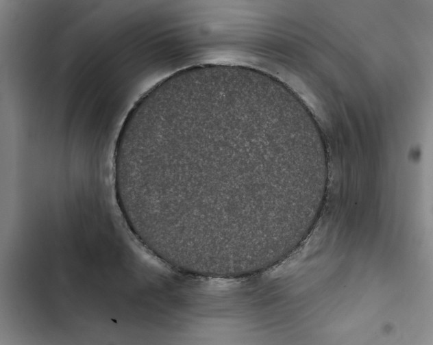 X0000102480848200808221705