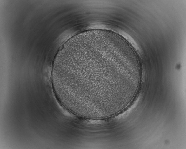 X0000102480849200808221705