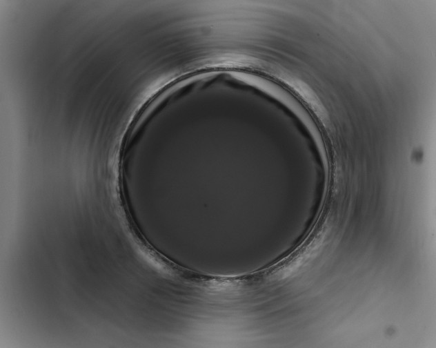 X0000102480850200808221705