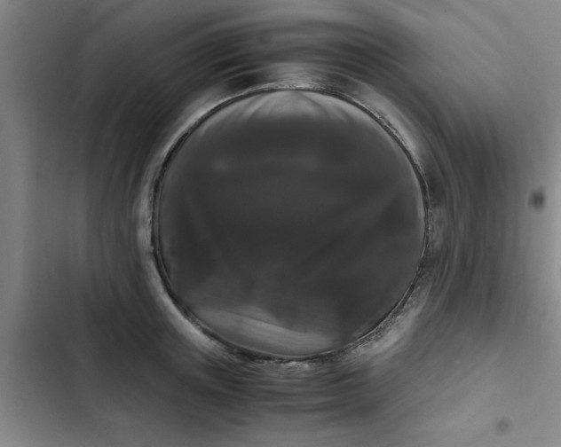 X0000102480851200808221705