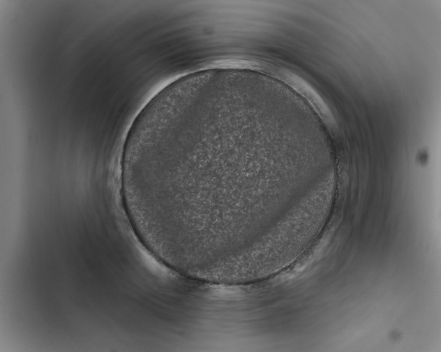 X0000102480852200808221705