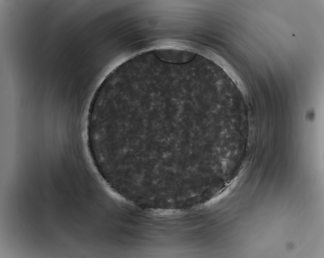 X0000102480853200808221705