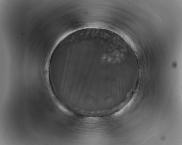 X0000102480854200808221705