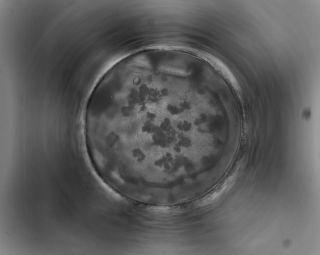 X0000102480855200808221705