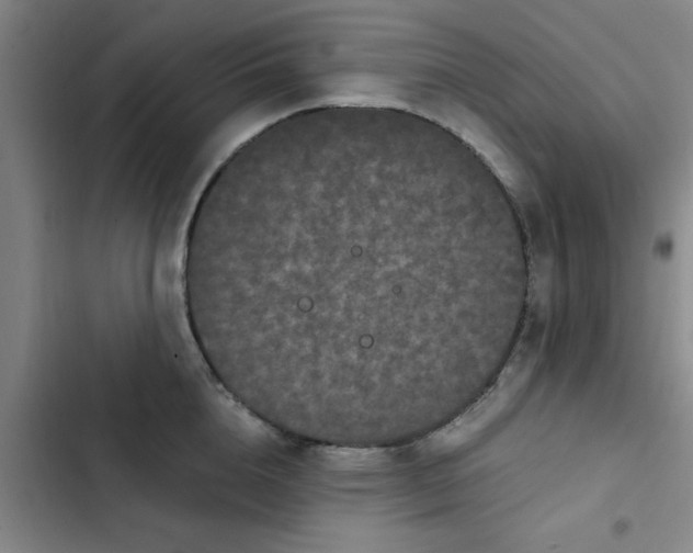 X0000102480856200808221705