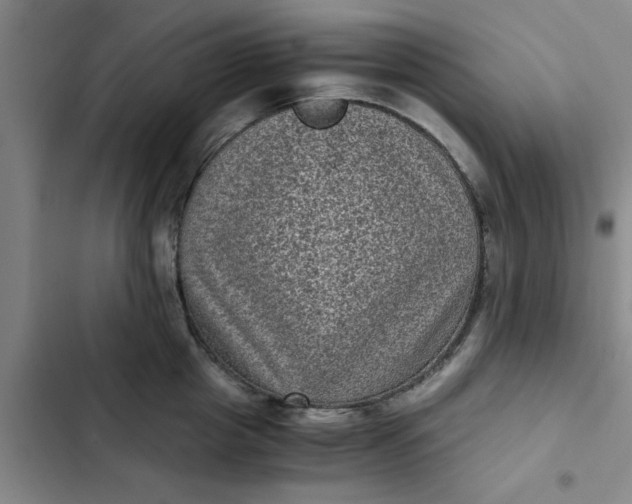 X0000102480857200808221705