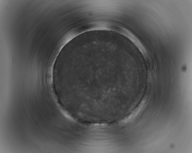 X0000102480858200808221705