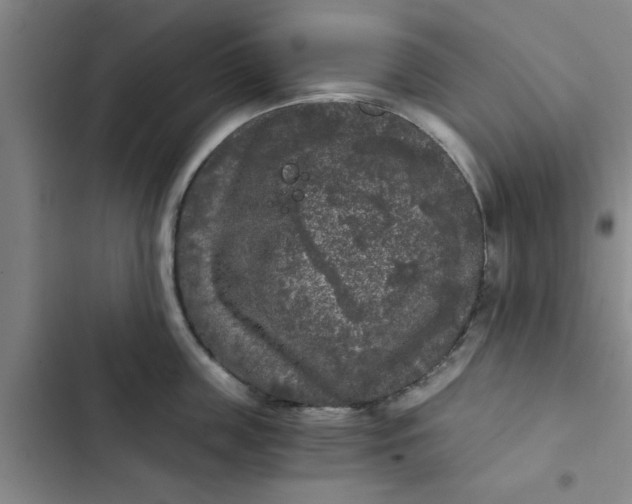 X0000102480859200808221705