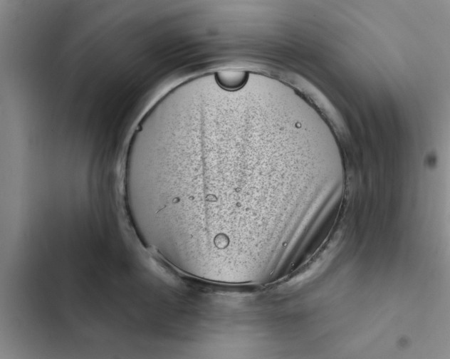 X0000102480860200808221705