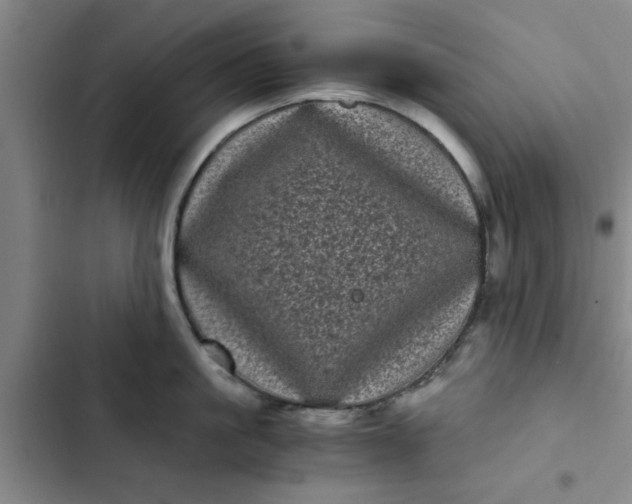 X0000102480861200808221705