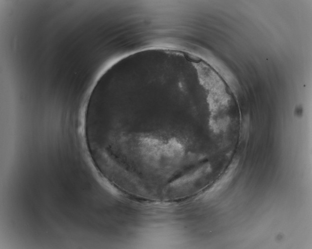 X0000102480862200808221705