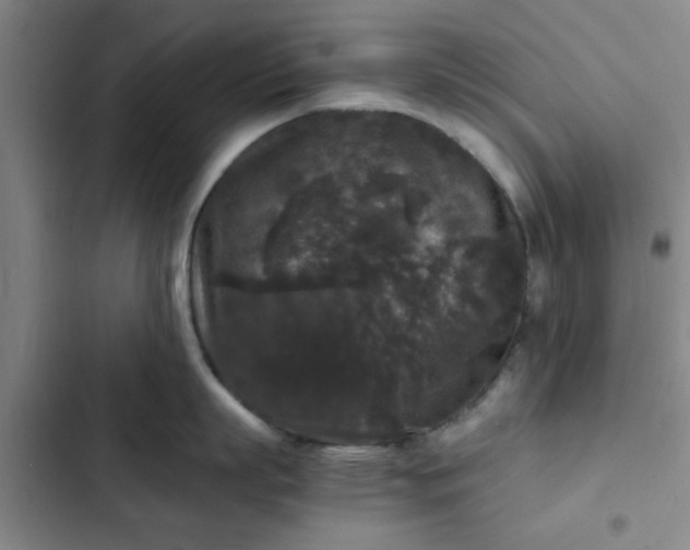 X0000102480863200808221705