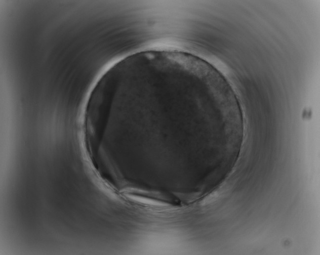 X0000102480864200808221705