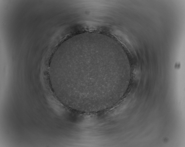 X0000102480865200808221705