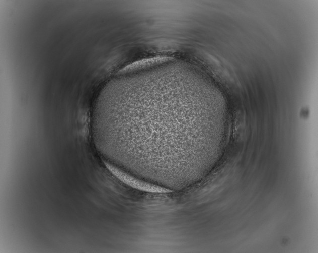 X0000102480866200808221705