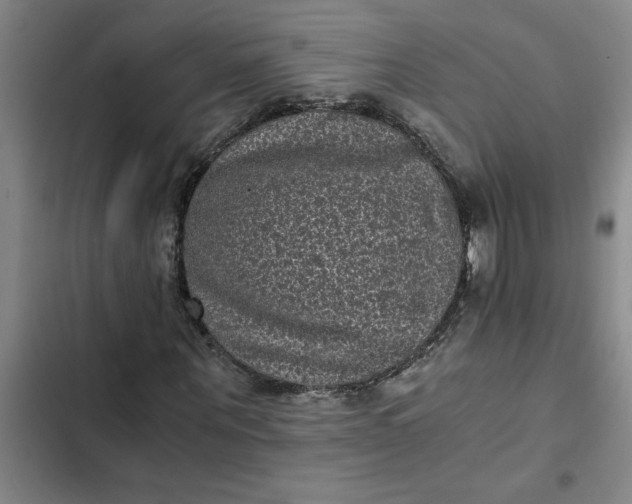 X0000102480867200808221705