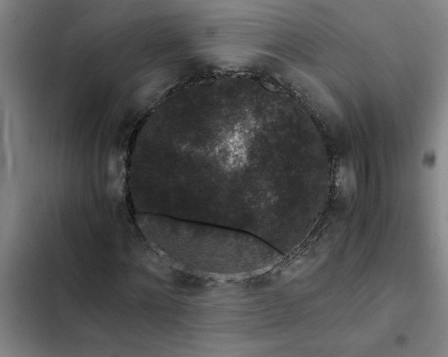 X0000102480868200808221705