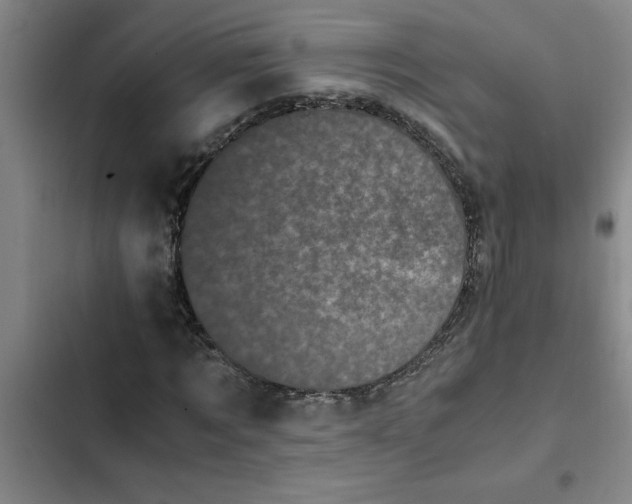 X0000102480869200808221705