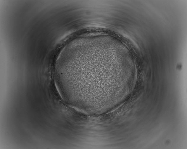 X0000102480870200808221705